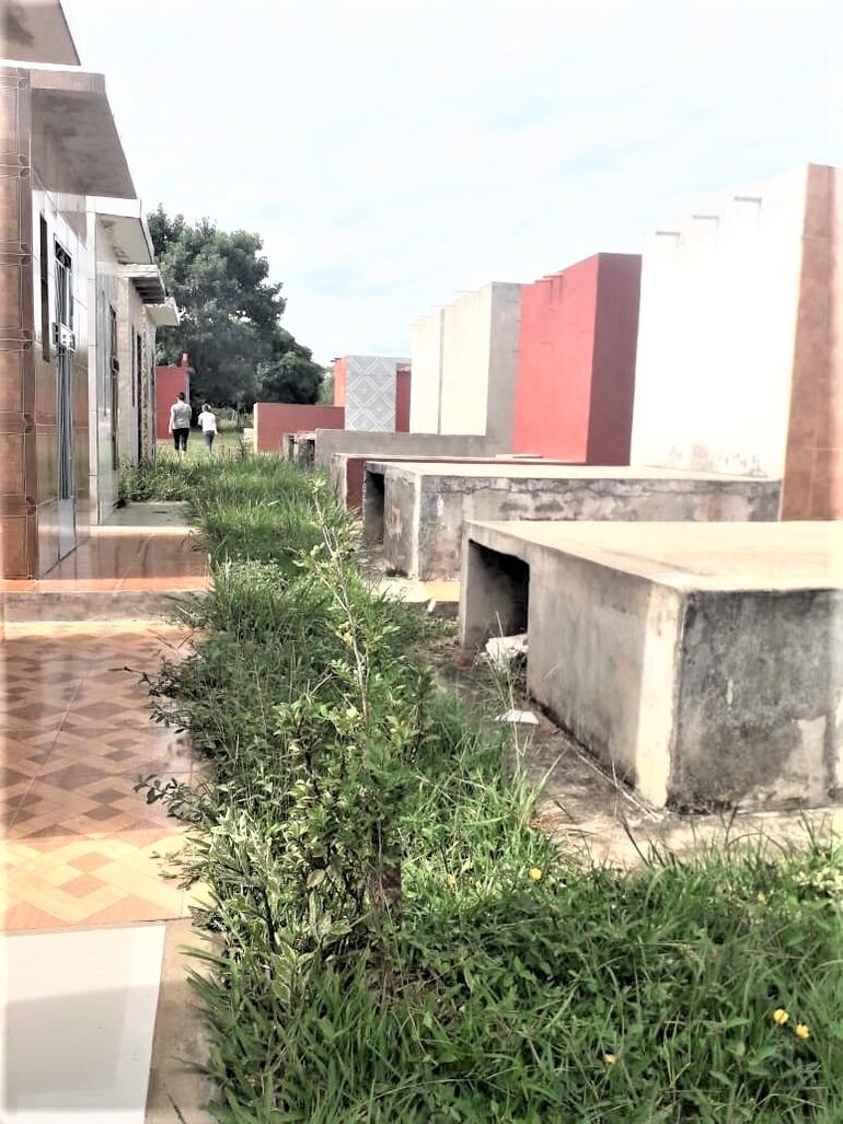 La falta de limpieza en el campo santo, es otra de la queja de los que visitan a sus seres queridos.