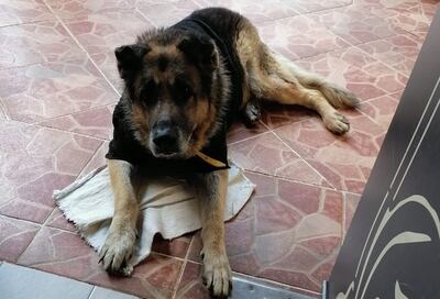 /pf/resources/images/abc-placeholder.png?d=2395