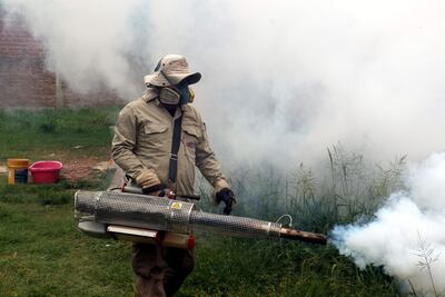 Un funcionario municipal fumiga hoy, una casa en el barrio Villa Primero de Mayo, como parte de una campaña contra el dengue realizada, en Santa Cruz (Bolivia). Más de 5.000 personas, entre militares, trabajadores de la salud y funcionarios municipales, se movilizaron este domingo en una campaña de fumigación y limpieza para contener una epidemia de dengue en Santa Cruz, la mayor región de Bolivia.