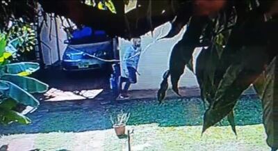 Cámaras de circuito cerrado captaron imágenes del delincuentes en el patio de la vivienda.