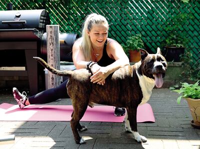 ¿Pueden contraer covid los animales?