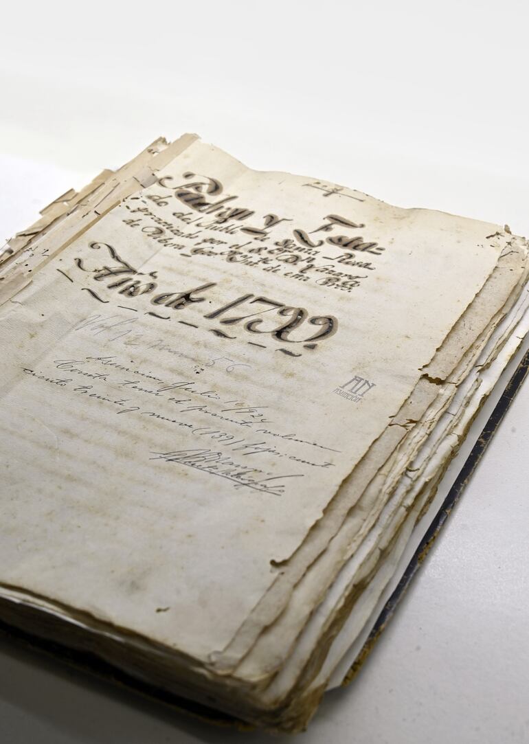 El último padrón de la época colonial corresponde a 1799, pero los resultados se conocieron hacia 1803.