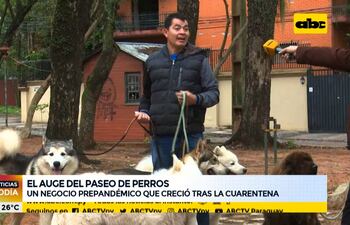 Los veterinarios recomiendan que los perros hagan una hora diaria de caminatas, y los dueños tratan de cumplir con esto, y cuando no les alcanza el tiempo invierten en un paseador de perros.