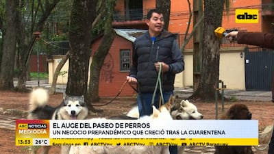 Los veterinarios recomiendan que los perros hagan una hora diaria de caminatas, y los dueños tratan de cumplir con esto, y cuando no les alcanza el tiempo invierten en un paseador de perros.
