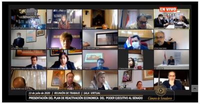 De forma virtual, el Gobierno brinda detalles del plan de reactivación económica al Senado, desde esta mañana.