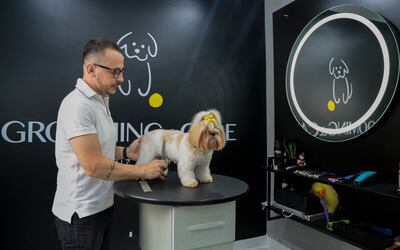 El estilista de perros Luiz Renato arregla a un perro Shih Tzu en una veterinaria de San Pablo, Brasil.