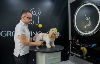 El estilista de perros Luiz Renato arregla a un perro Shih Tzu en una veterinaria de San Pablo, Brasil.