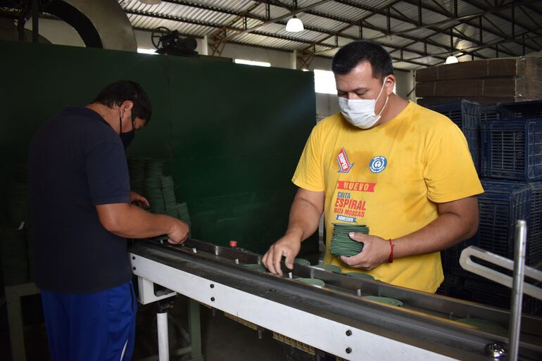 Maahsa produce espirales, para combatir mosquitos.