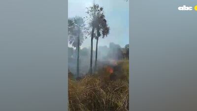 Bomberos controlan incendio en ruta Luque - San Bernardino.