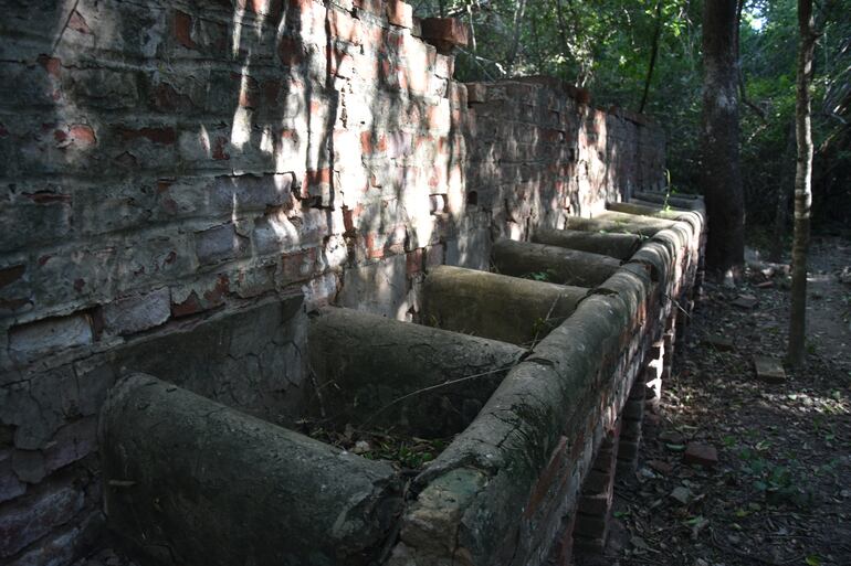 El monte dio cobijo al antiguo fortín. Lamentablemente el lugar es objeto de saqueos.