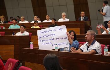 Paulina Villanueva, del Pueblo Guaná candidata al Senado, pidió la aprobación del proyecto de ley.