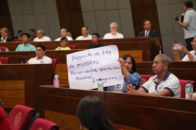 Paulina Villanueva, del Pueblo Guaná candidata al Senado, pidió la aprobación del proyecto de ley.