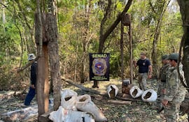 Canindeyú: desarticulan campamento narco y eliminan más de 12 toneladas de marihuana.