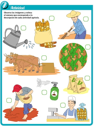 Actividades agrícolas de la comunidad