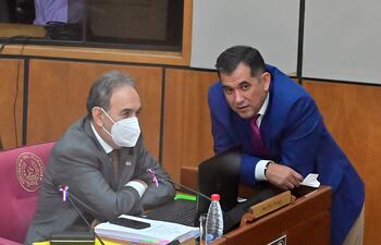 Ni siquiera los senadores cartistas Juan Dario Monges y Martín Arévalo se animaron a acompañar el adefesio aprobado en Diputados.