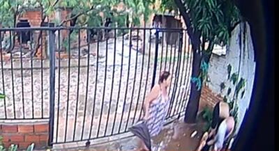 Video muestra cómo una familia frustra asalto y reduce al ladrón