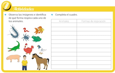 Respiración de animales