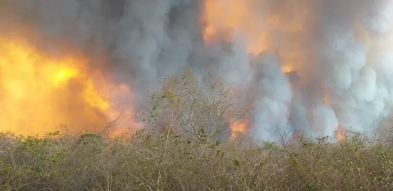 Los incendios forestales en la zona del cerro Chovoreca, Alto Paraguay, se tornan incontrolables.