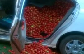 tomate-contrabando-auto-103005000000-1310141.jpg