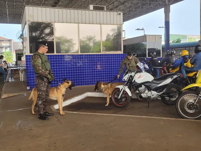 Los militares con canes especializados en la labor antidrogas en la cabecera del Puente de la Amistad.