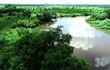 Vista aérea del terreno de Bachi y su pareja sentimental a orillas del río Confuso, en el barrio Saladillo de Villa Hayes.