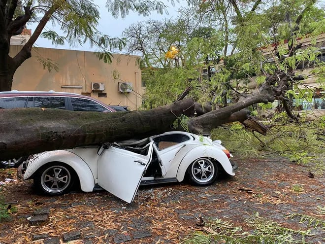 Un árbol cayó sobre un auto y este quedó prácticamente destrozado; además, dañó parte de otro vehículo en el estacionamiento del Hospital Central del IPS.