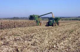 productores-de-maiz-comenzaron-la-cosecha-191043000000-563231.jpg