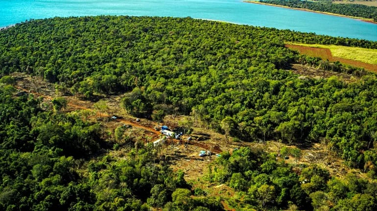 La franja de protección del embalse de Itaipú afectada por la deforestación ilícita.