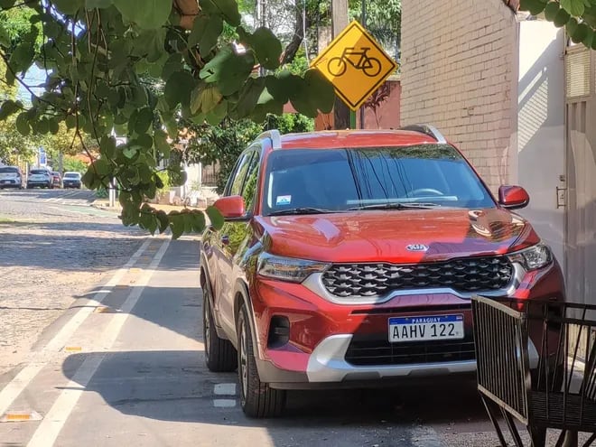 Sobre la calle Sousa la bicisenda está demarcada y señalizada. Sin embargo el conductor de esta camioneta la bloquea con su camioneta. Por otro lado, las ramas de una Lluvia de orquídeas también representan un peligro para los ciclistas.