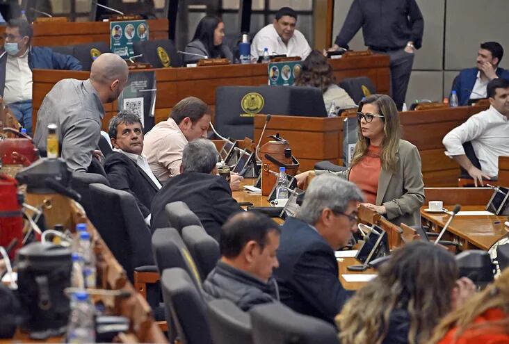 Este lunes se reanuda la sesión extraordinaria en Cámara Baja, con miras a un posible juicio político a la fiscal general del Estado Sandra Quiñonez.