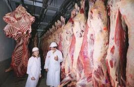 la-carne-paraguaya-debio-pasar-en-los-ultimos-anos-numerosas-inspecciones-de-mercados-del-exterior-entre-ellos-el-de-rusia-que-se-ha-convertido-en-e-212416000000-1706369.jpg