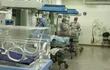 Cuatro neonatos están internados en cuidados intensivos en el Hospital de Clínicas a causa del Chikunguña.