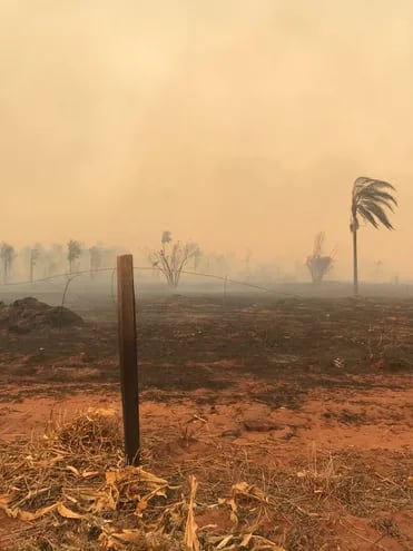 Foto referencial de un incendio ocurrido en San Pedro en zona de plantaciones de maíz.