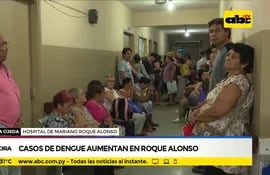 Casos de dengue aumentan en Roque Alonso