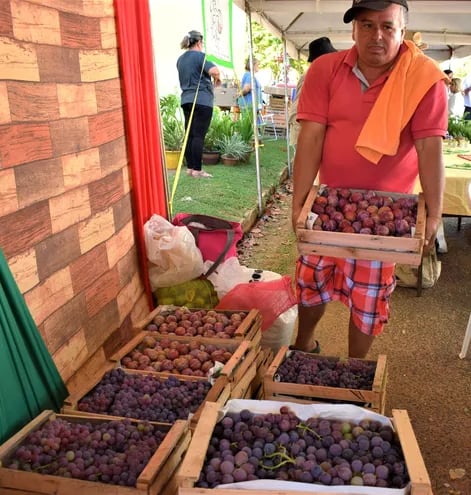 El productor Jorge Leiva se prepara con variedad de frutas para la muestra anual de La Colmena.