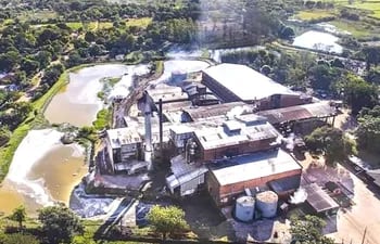 La imponente fábrica de La Felsina, empresa que celebra nueve décadas de trayectoria.
