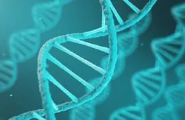 Imagen de referencia de la estructura del ADN.
