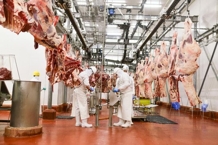 La recuperación de las exportaciones estuvo impulsada fundamentalmente por los productos de la carne bovina, dice el informe de Hacienda.