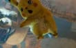 pokemon-detective-pikachu-180942000000-1830413.jpeg