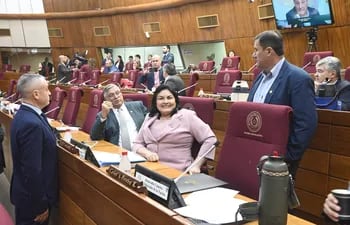 La Cámara de Diputados insta a presidente Santiago Peña a sentar postura sobre el quiebre democrático en Venezuela.
