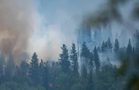 Incendio forestal en el parque nacional Yosemite, en California, en julio del año pasado.