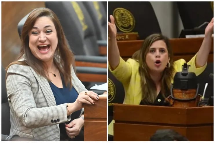 Las  diputada Rocío Abed y Kattya González se enfrazcaron en una pelea persona en la sesión de hoy.