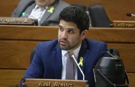 Diputado Raúl Benítez (Partido Encuentro Nacional).