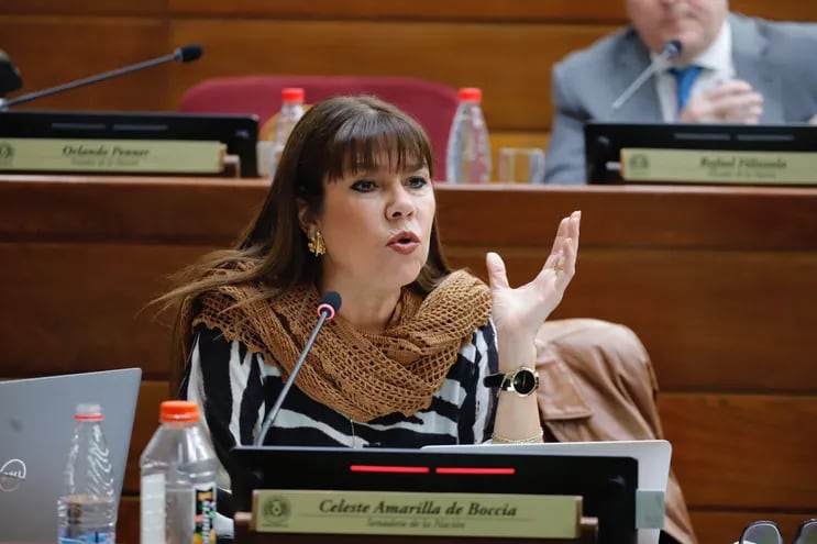 La senadora Celeste Amarilla (PLRA), presentó el proyecto de ley que modifica la ley de la Senabico para entregar las obras de arte comisadas al Museo Nacional de Bellas Artes.