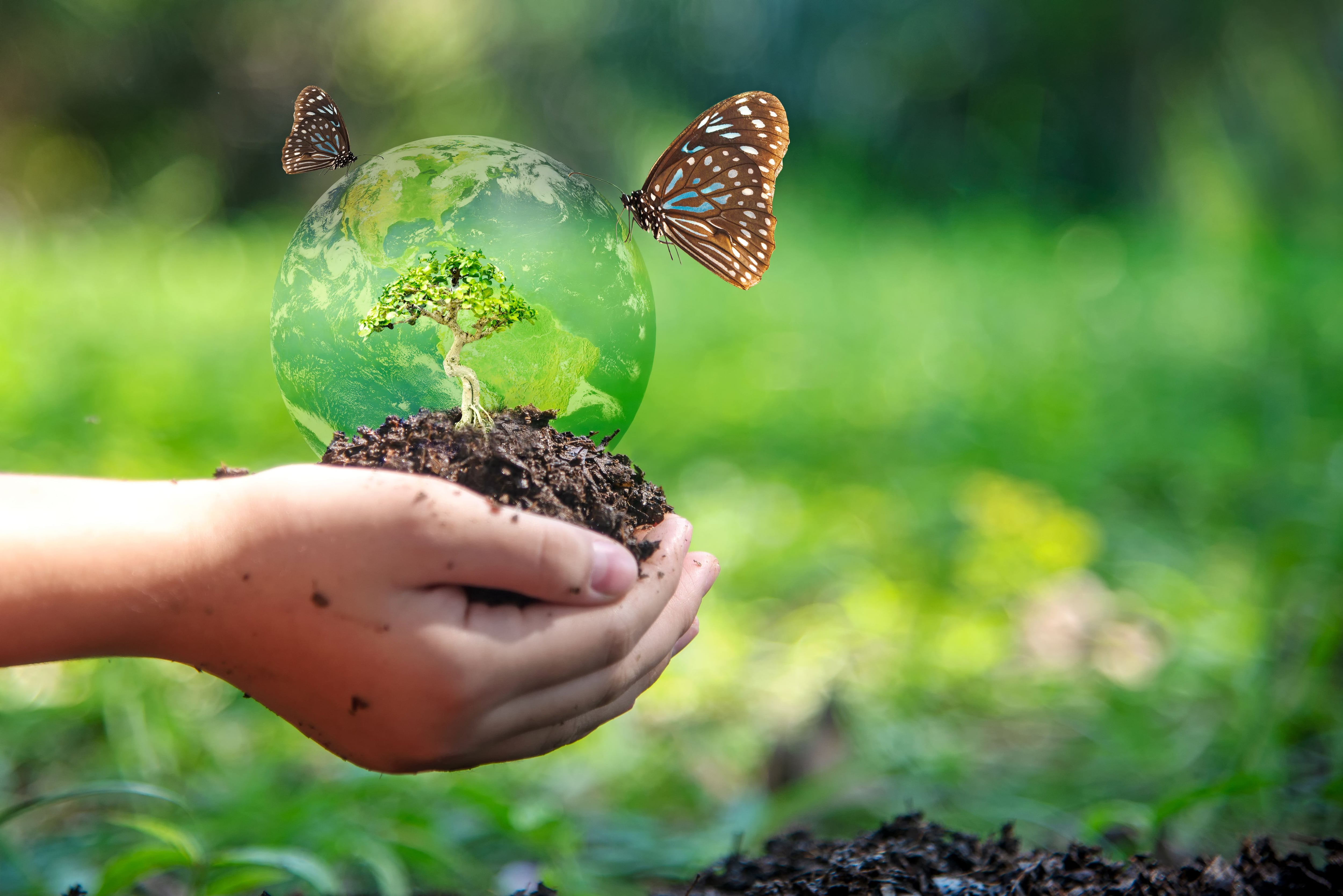 niño sosteniendo un globo de vidrio con un árbol dentro, simbolizando cuidado del planeta y crecimiento