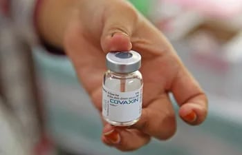 Borba confirmó que también se cancelará el acuerdo con Bharat Biotech, por un millón de vacunas Covaxin.