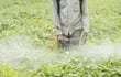 El uso de pesticidas en Brasil fue estudiado durante varios años.
