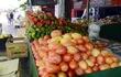 productores-tomateros-esperan-recibir-mejor-precio-por-el-producto-una-vez-que-aumente-la-produccion-nacional--204728000000-1836912.jpg