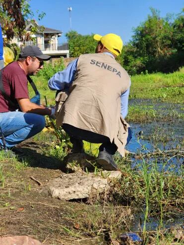 En la ciudad de Pilar se realizó la primera Minga Ambiental para eliminar los criaderos de mosquitos.