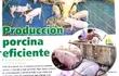 produccion-porcina-eficiente-82440000000-1821516.jpg